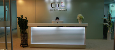 植物賦予辦公室裝修生命，選對植物讓辦公室更有意義