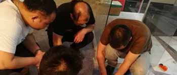 你見(jiàn)過(guò)如此認(rèn)真對(duì)待工作的南寧裝飾公司師傅們嗎？