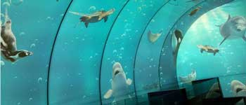 辦公室裝修可以任性到什么程度 你見過海底和空中的辦公室嗎？