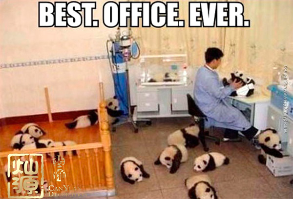 開玩笑把鄰居笑死